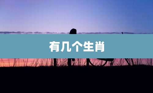 有几个生肖