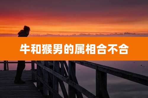 牛和猴男的属相合不合