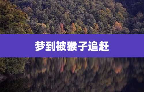 梦到被猴子追赶