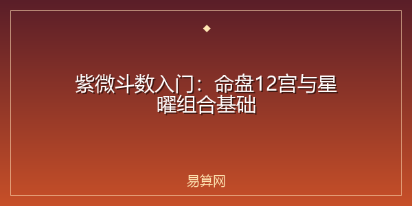 紫微斗数入门：命盘12宫与星曜组合基础