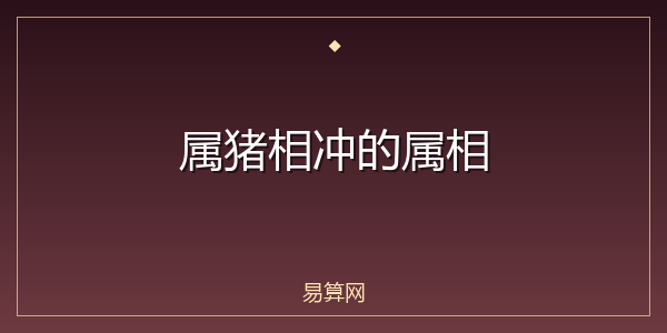 属猪相冲的属相