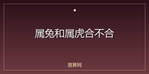属兔和属虎合不合