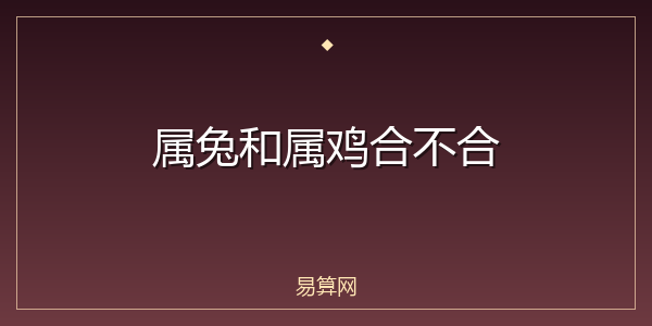 属兔和属鸡合不合