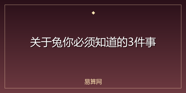 关于兔你必须知道的3件事