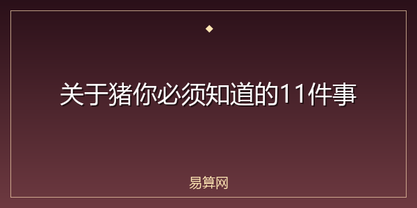 关于猪你必须知道的11件事