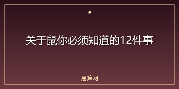 关于鼠你必须知道的12件事