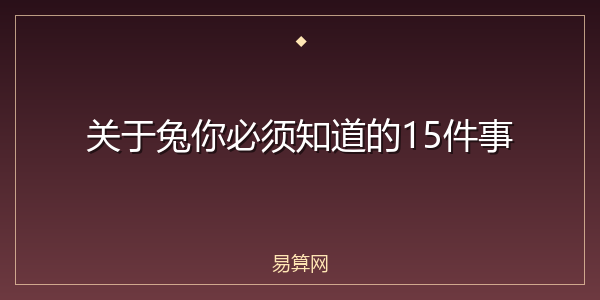关于兔你必须知道的15件事