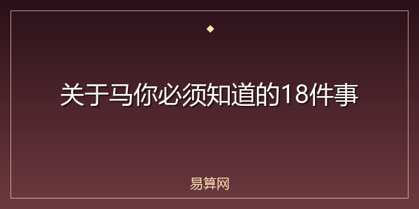 关于马你必须知道的18件事