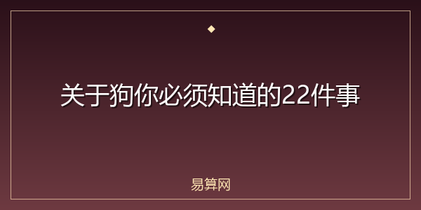 关于狗你必须知道的22件事