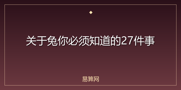 关于兔你必须知道的27件事