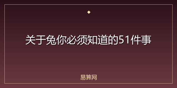 关于兔你必须知道的51件事