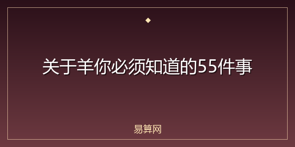 关于羊你必须知道的55件事