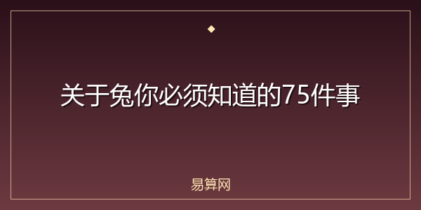 关于兔你必须知道的75件事