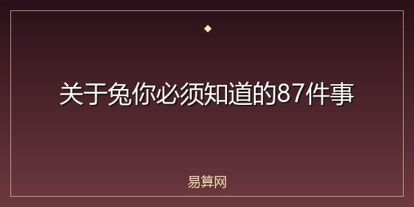 关于兔你必须知道的87件事