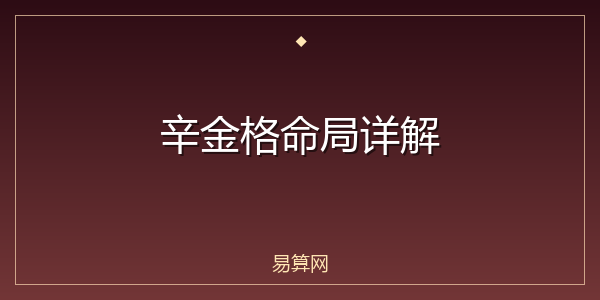 辛金格命局详解