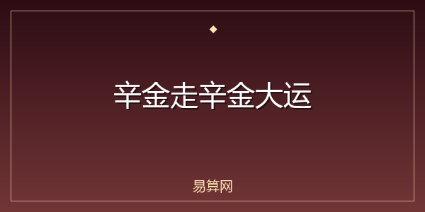 辛金走辛金大运