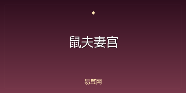 鼠夫妻宫