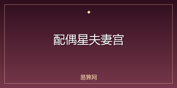 配偶星夫妻宫