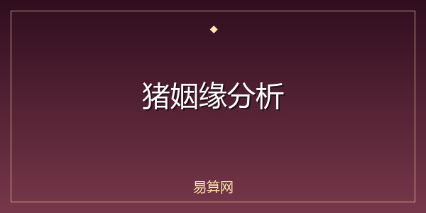 猪姻缘分析