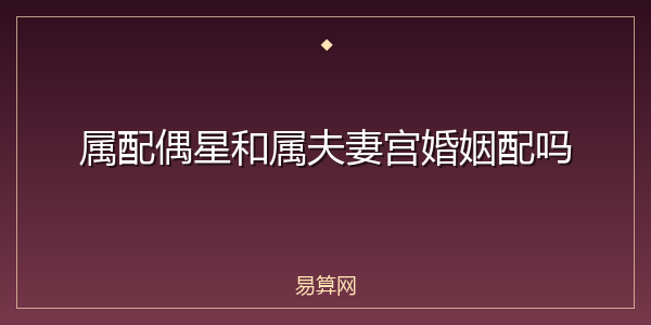 属配偶星和属夫妻宫婚姻配吗