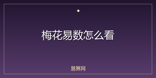 梅花易数怎么看