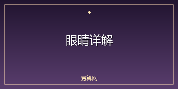 眼睛详解