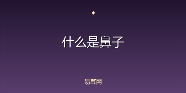 什么是鼻子