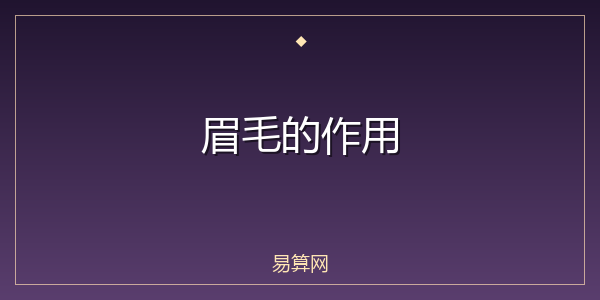 眉毛的作用