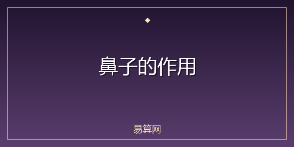 鼻子的作用