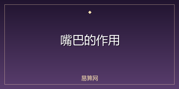 嘴巴的作用
