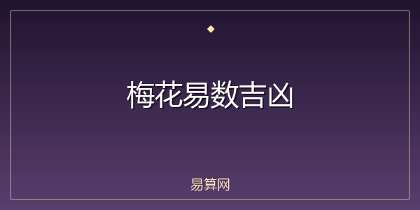 梅花易数吉凶