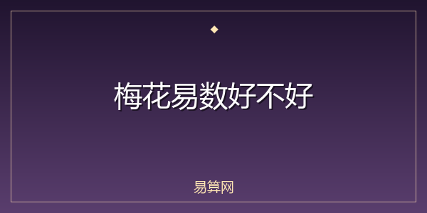 梅花易数好不好