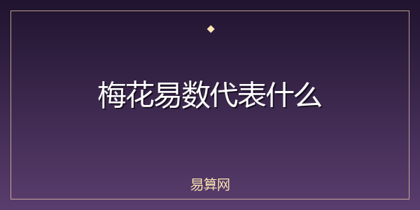 梅花易数代表什么