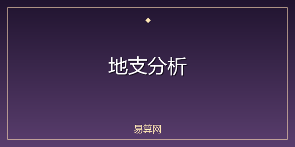 地支分析