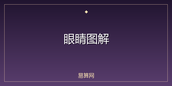 眼睛图解