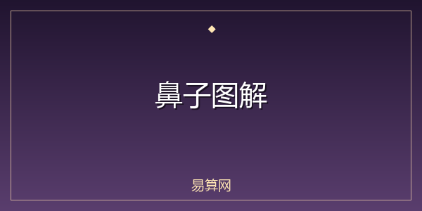 鼻子图解