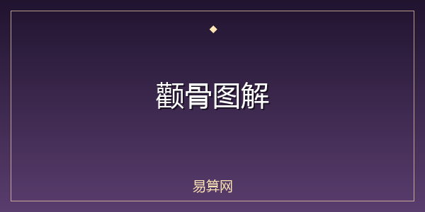 颧骨图解