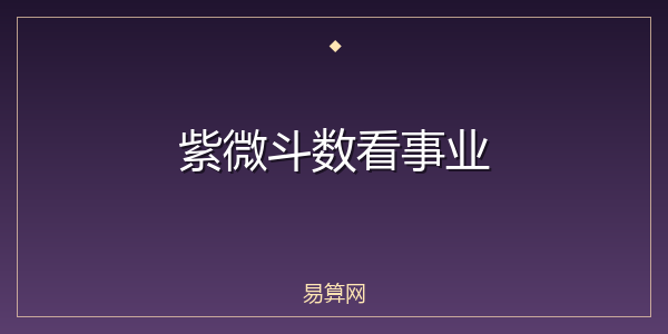 紫微斗数看事业